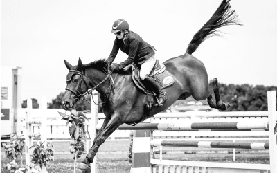 See Clearly, Ride Precisely: KOO Sunglasses Are Built for Equestrians